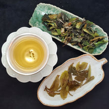 Load image into Gallery viewer, 2024 Cat Ear 500+ Years Old Tree 1st Pick White Tea (1 oz)