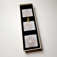 Load image into Gallery viewer, Long Xian Xiang Ambergris Coil Incense 21 Pieces 3 Hours