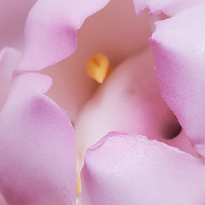 Porcelain Incense Burner - Pink Lotus Flower