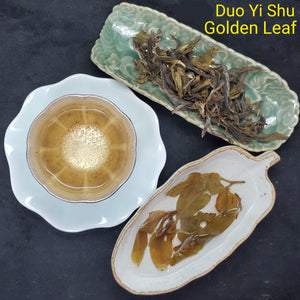 2022 Duo Yi Shu Golden Leaf Gushu Green Puerh Loose (1 oz)
