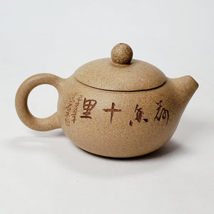 Yixing Teapot Duan Ni Clay - Xi Shi 90 ml