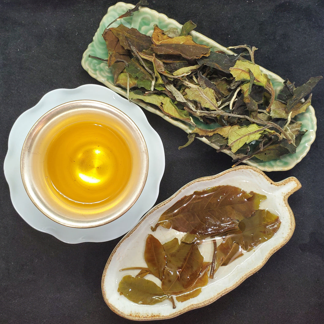 2025 Yiwu Feng Huang Wo Tall Trunk Single Tree White Tea (1 oz)