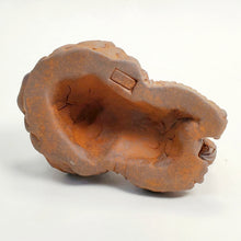 Load image into Gallery viewer, Tea Pet - Pi Xiu Volcano Clay
