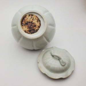 Tea Jar - Celadon Lotus Leaf #1