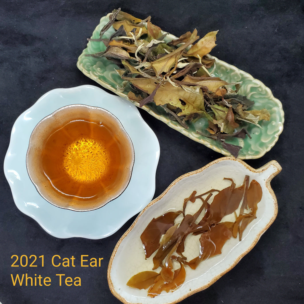 2021 Wild 500+ Years Old Tree Yi Bang Cat Ear White Tea (1 oz)