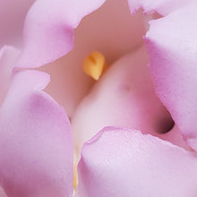 Load image into Gallery viewer, Porcelain Incense Burner - Pink Lotus Flower

