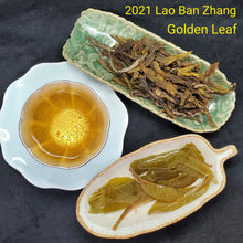 Load image into Gallery viewer, 2021 Spring Lao Ban Zhang Golden Leaf Green Puerh Loose (2 oz)
