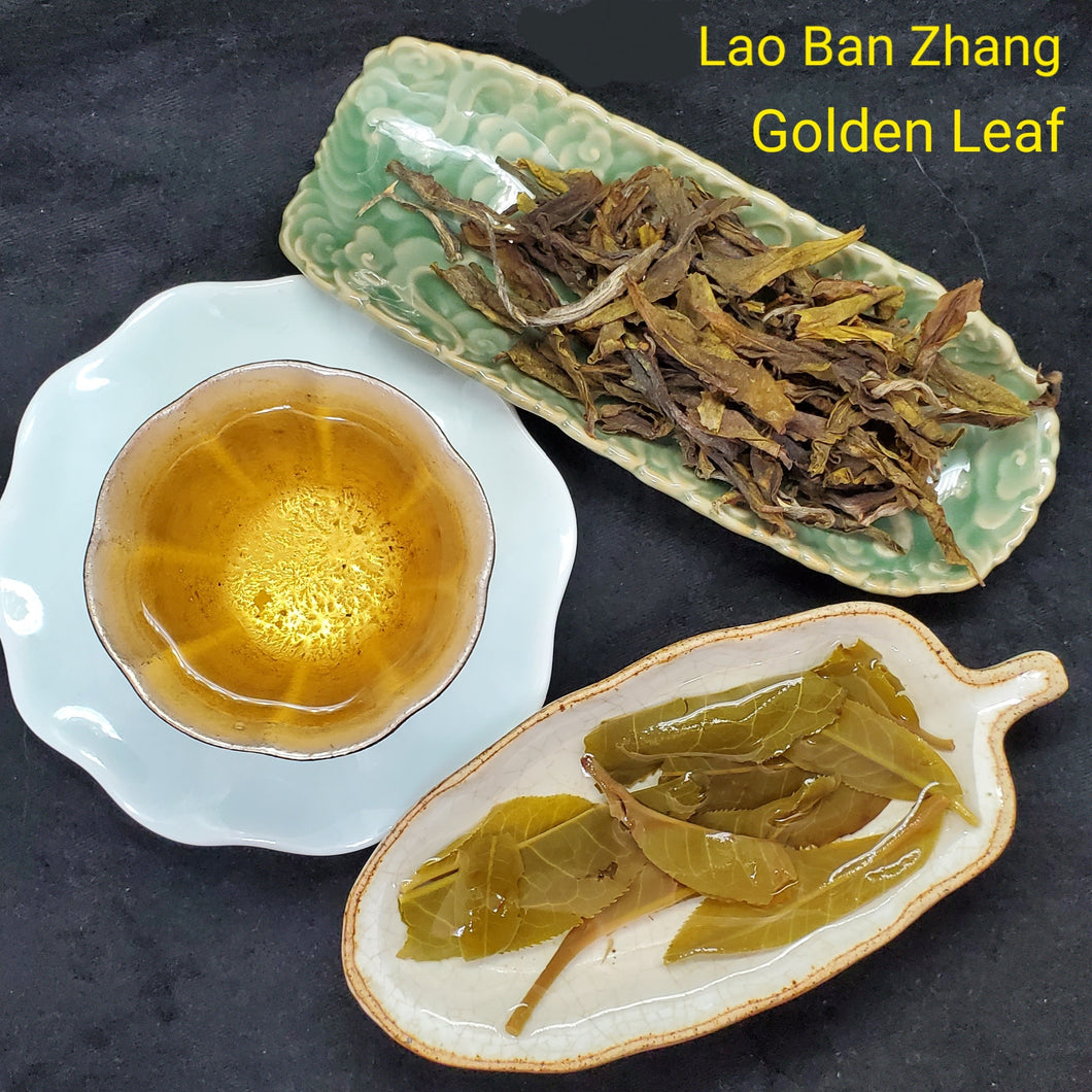 2020 Spring Lao Ban Zhang Golden Leaf Green Puerh Brick 500 g