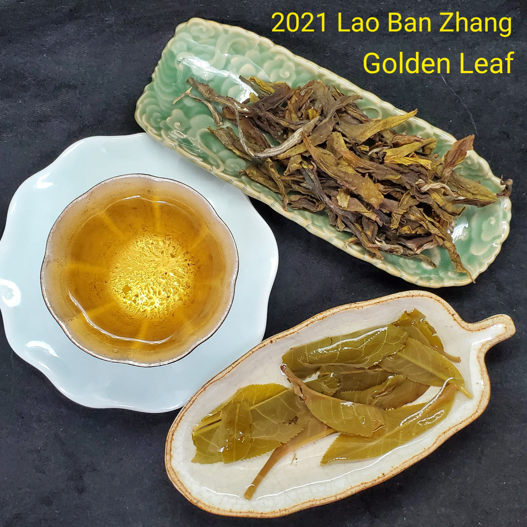 2021 Spring Lao Ban Zhang Golden Leaf Green Puerh Loose (2 oz)