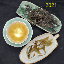 Load image into Gallery viewer, Bai Yao Jing Spring 1st Pick 600 Years Old Gushu Loose Green Puerh (2x0.5 oz)
