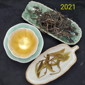 Bai Yao Jing Spring 1st Pick 600 Years Old Gushu Loose Green Puerh (2x0.5 oz)