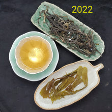 Load image into Gallery viewer, Bai Yao Jing Spring 1st Pick 600 Years Old Gushu Loose Green Puerh (2x0.5 oz)
